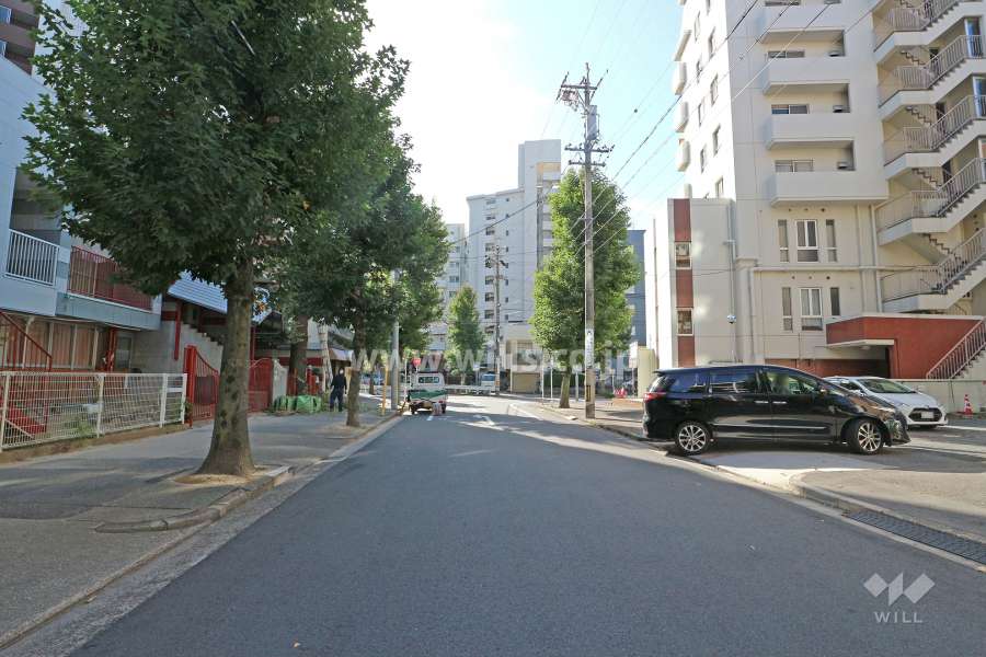 敷地東側の前面道路（北側から）