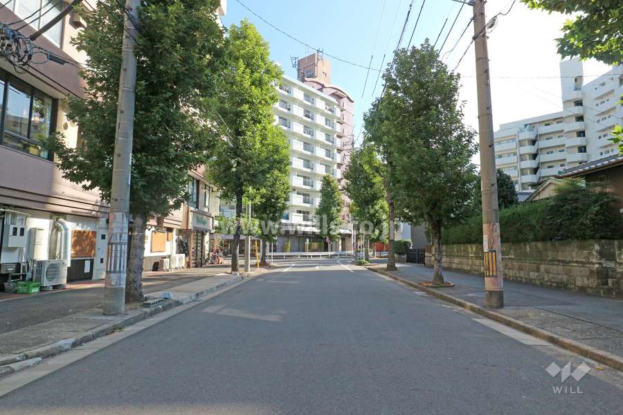敷地南側の前面道路（西側から）