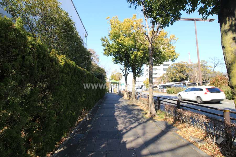 敷地東側の前面道路.交通量の多い通りに面しています.