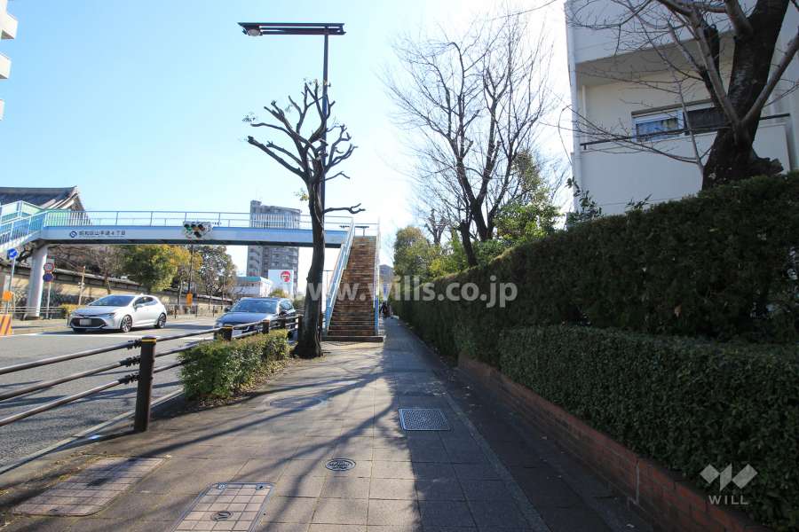 敷地東側の前面道路.。交通量の多い通りに面しています。