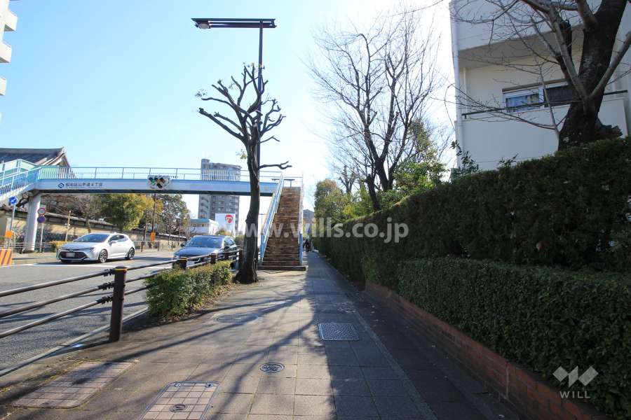 敷地東側の前面道路。.交通量の多い通りに面しています。