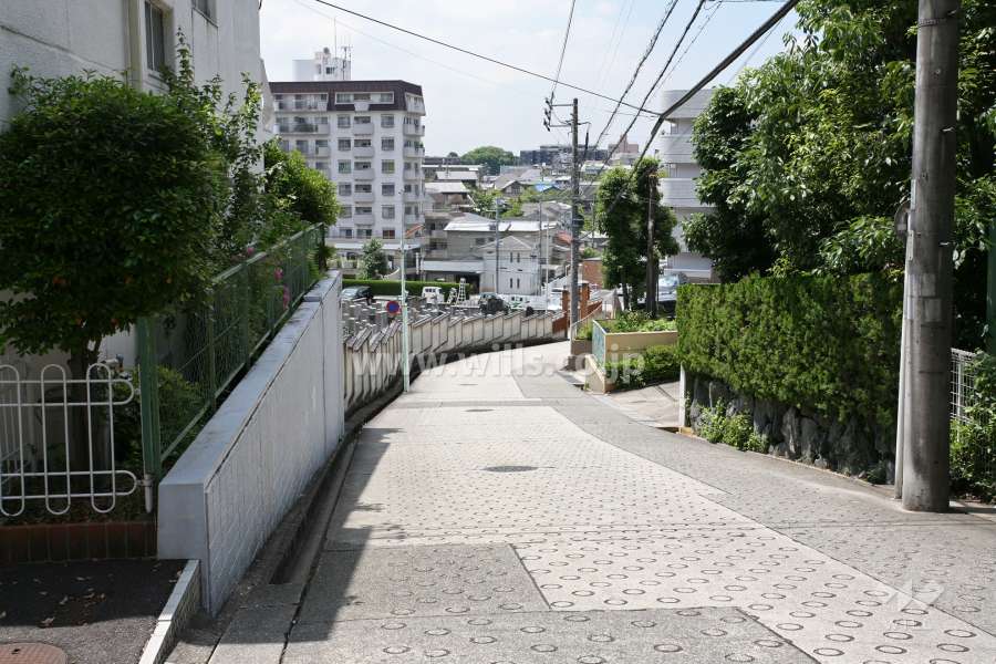 敷地西側の前面道路