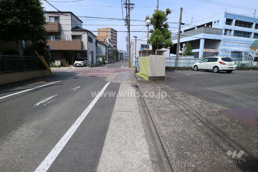 敷地の西側前面道路（南側から）