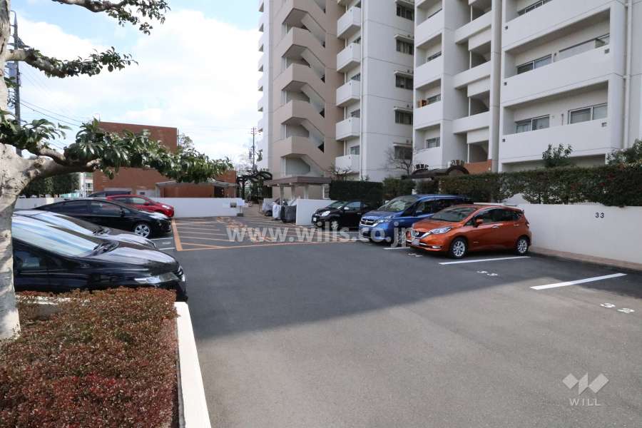 敷地内駐車場（屋外平面式）