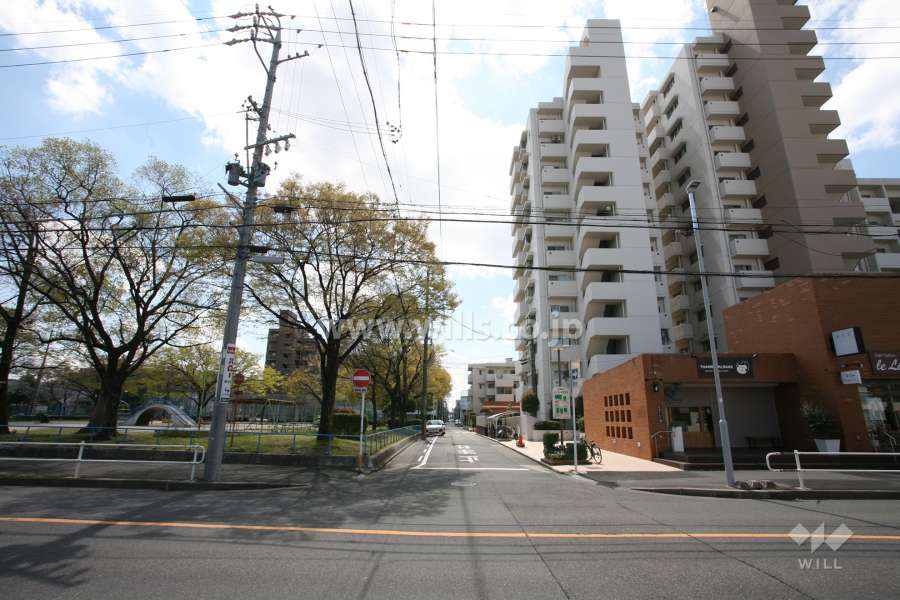 敷地東側の前面道路