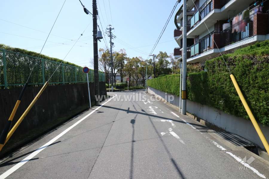 敷地東側の前面道路（東側から）