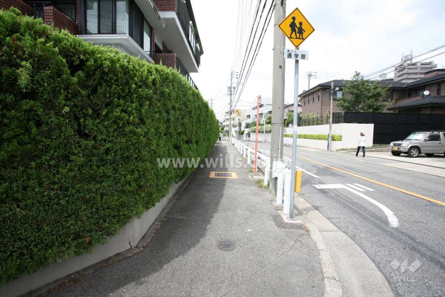 敷地東側の前面道路