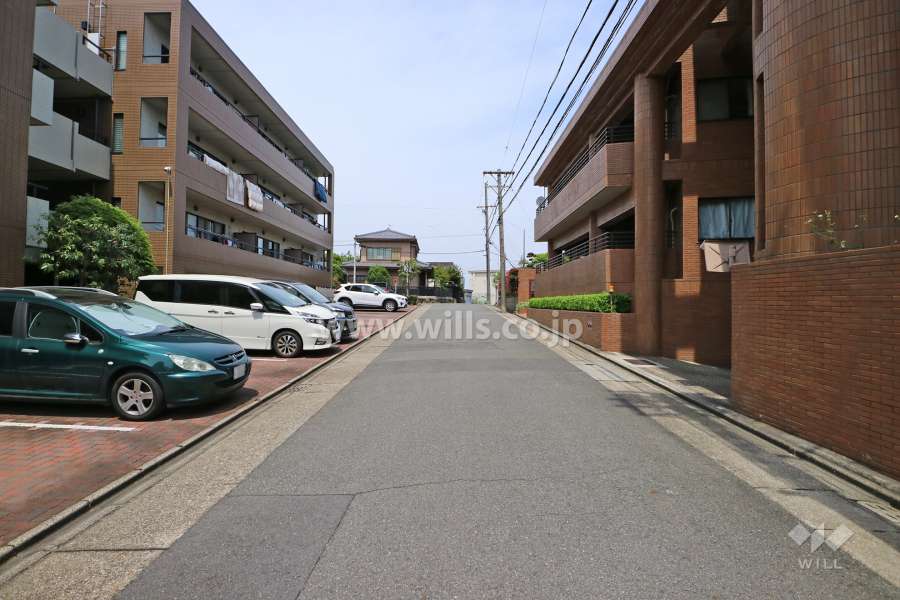 敷地の西側前面道路（南側から）