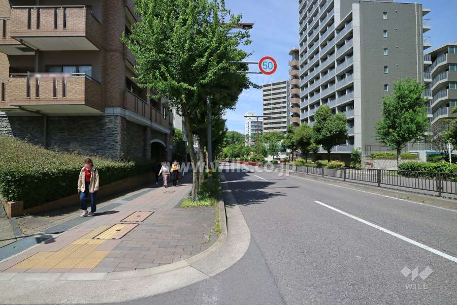 敷地東側の前面道路。二車線のバス通りです。