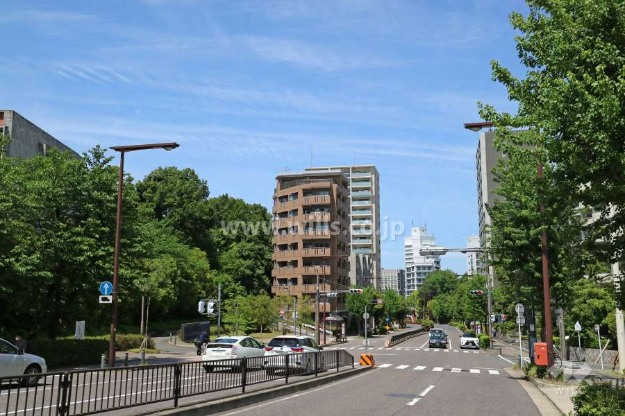 ファミール山手通の遠景。周辺は大通り沿いに建物が立ち並ぶ街です。