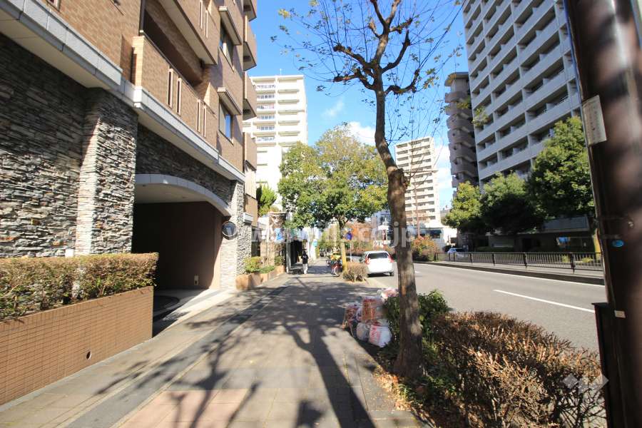 敷地東側の前面道路。