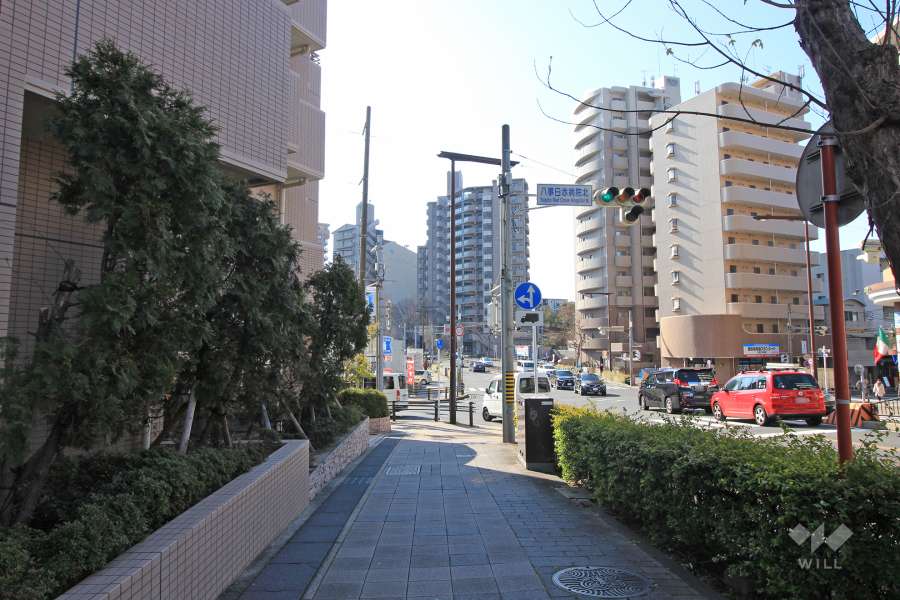 敷地西側の前面道路