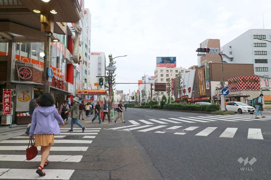 敷地東側の前面道路（南側から）