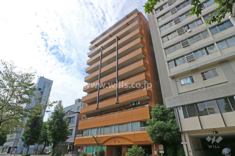 シティコーポ東照の外観（北東側から）