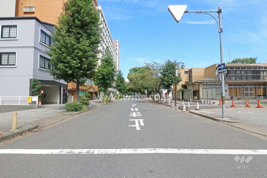 敷地東側の前面道路（南側から）