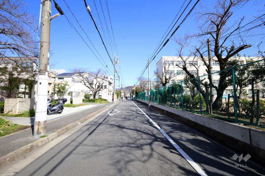 敷地東側の前面道路（南側から）