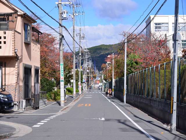 敷地東側前面道路(南側から)