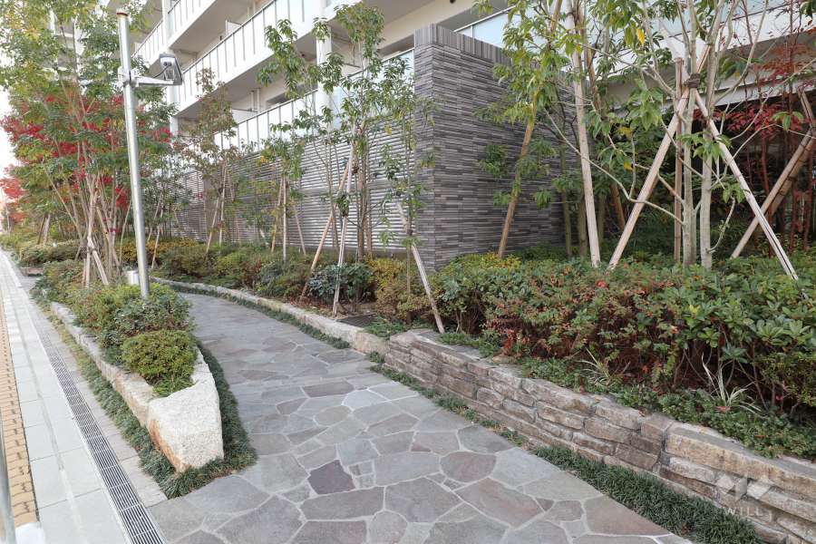 敷地内の各所に植栽スペースが設けられています。