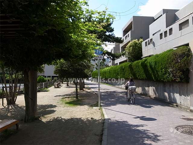 敷地東側の遊歩道（駅へはこの道を通ります。）