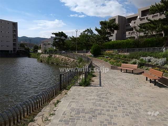 敷地の西側には弁天池があり、池沿いの一部が公園になっています。