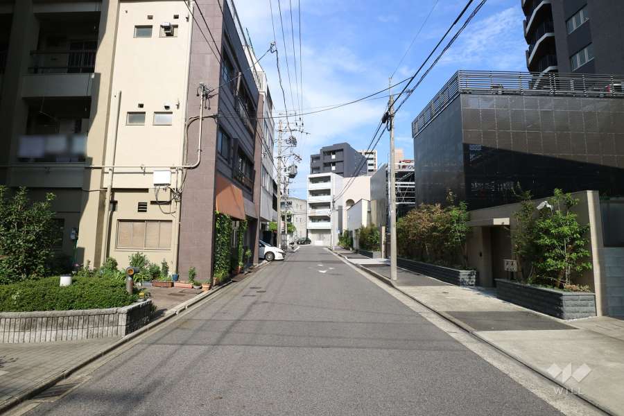 敷地西側の前面道路（南側から）