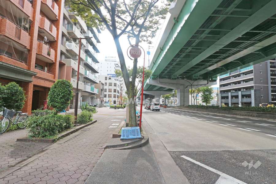 敷地西側の前面道路（北側から）