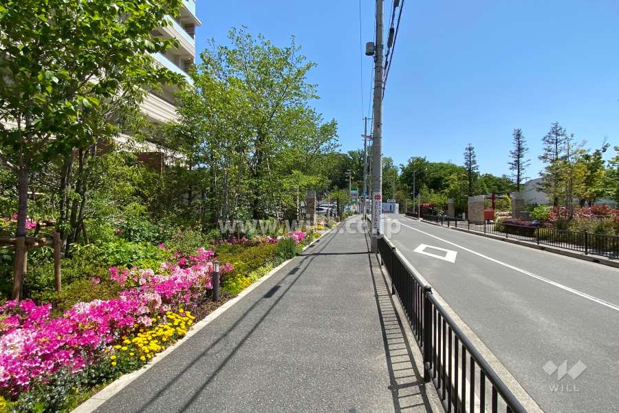 敷地南側の前面道路