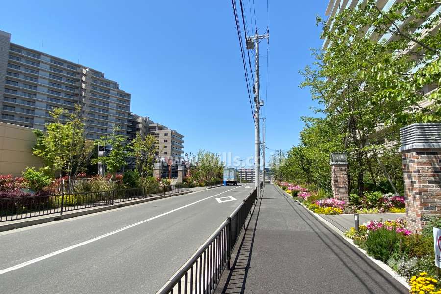 敷地南側の前面道路