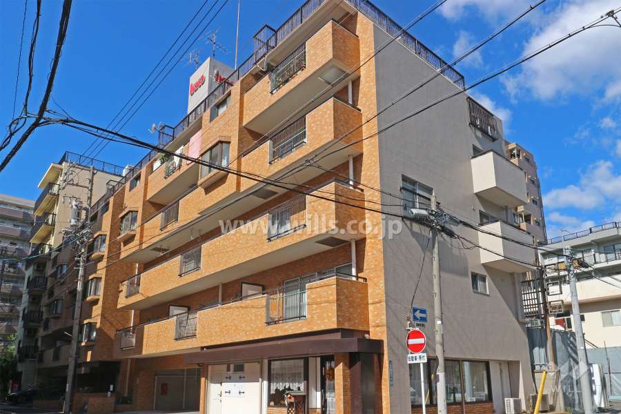 一光ハイツ記念橋の外観（南東側から）