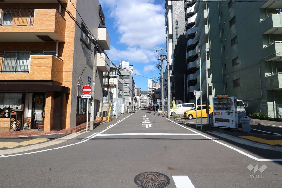 敷地東側の前面道路（南側から）