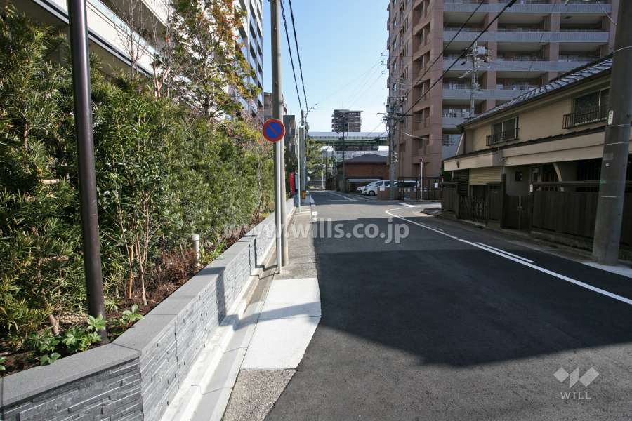 敷地南側の前面道路（西側から）