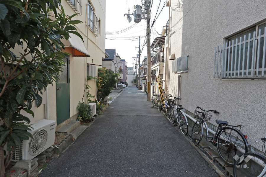 敷地北側の前面道路