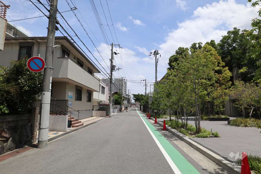 敷地北側の前面道路(西側から)