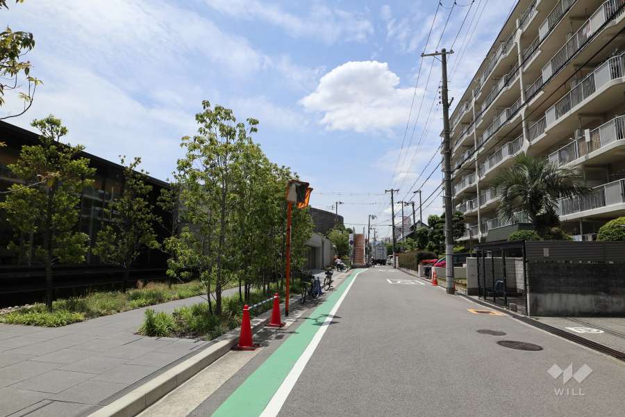 敷地北側の前面道路(東側から)