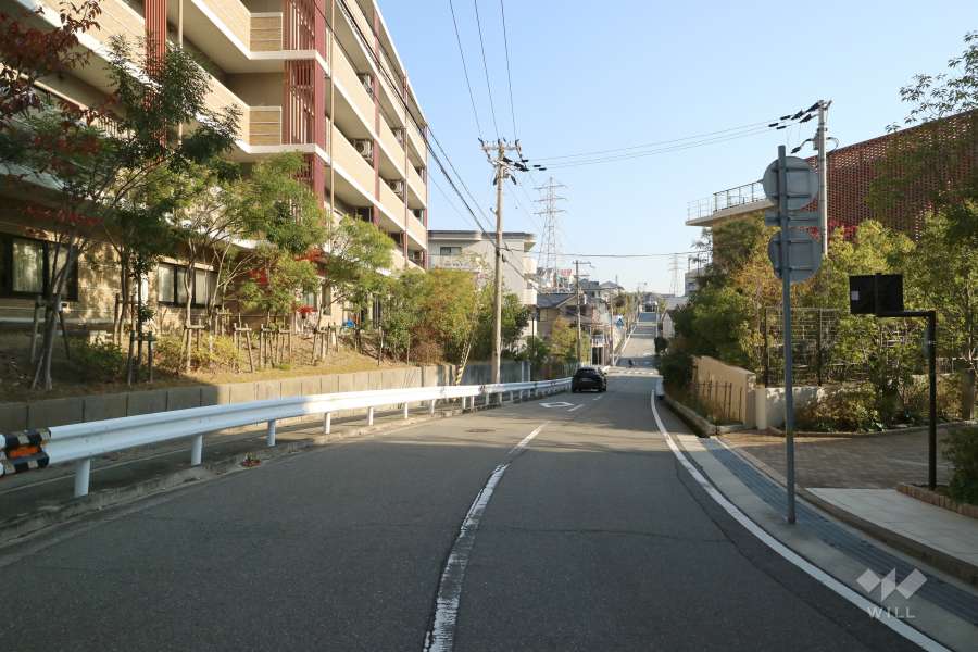 敷地南西側の前面道路（南側から）