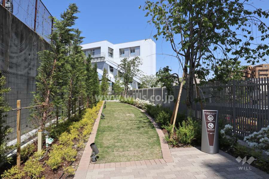 中庭