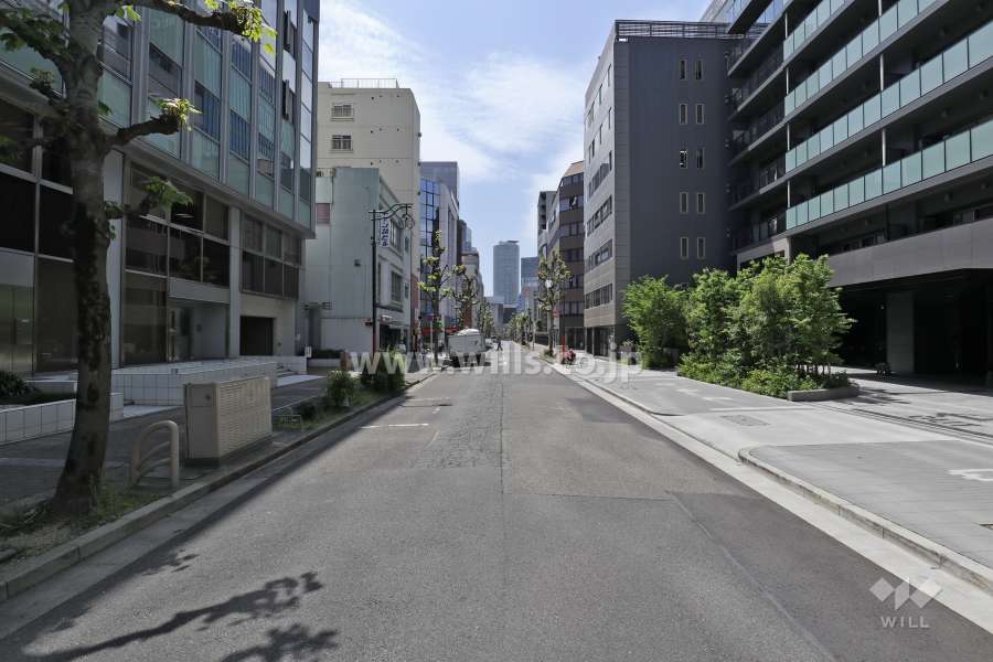 敷地の南側前面道路（東側から）