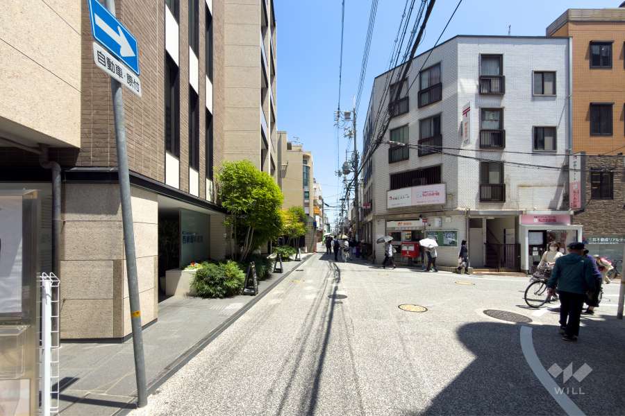 敷地南側の前面道路（西側から）
