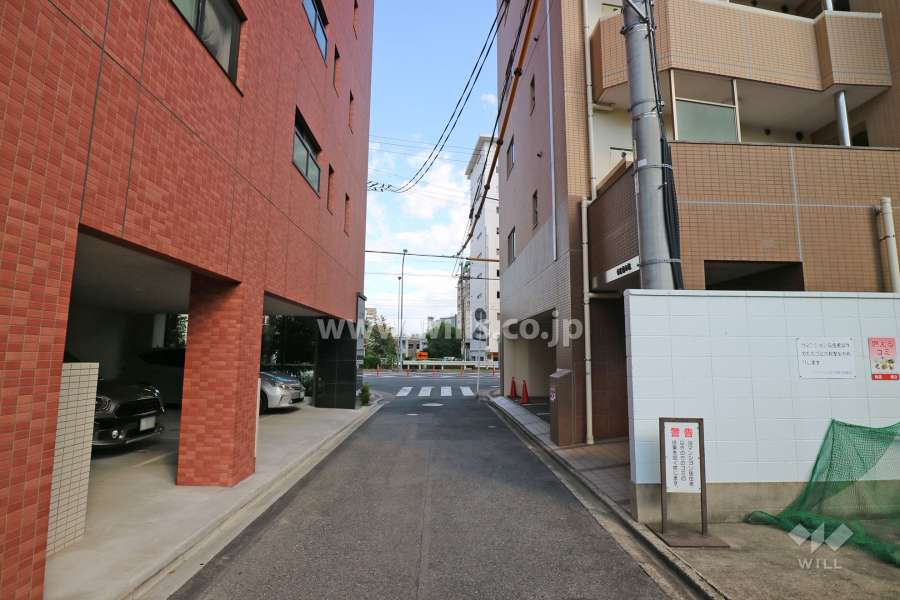 敷地南側の前面道路（西側から）