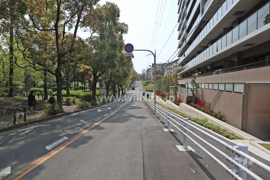 敷地南側の前面道路。道を挟んで『千里南公園』が広がっています。