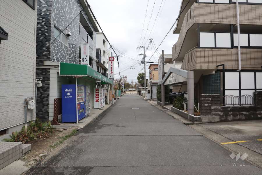 敷地南側の前面道路