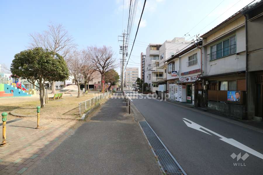 敷地北側の前面道路。道の向かい側には公園があります。