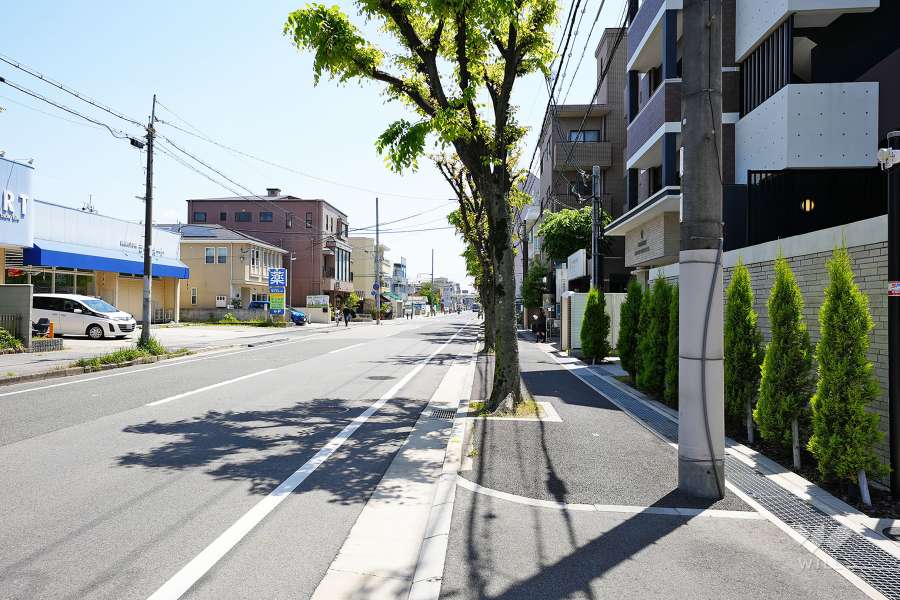 敷地北側の前面道路（西側から）