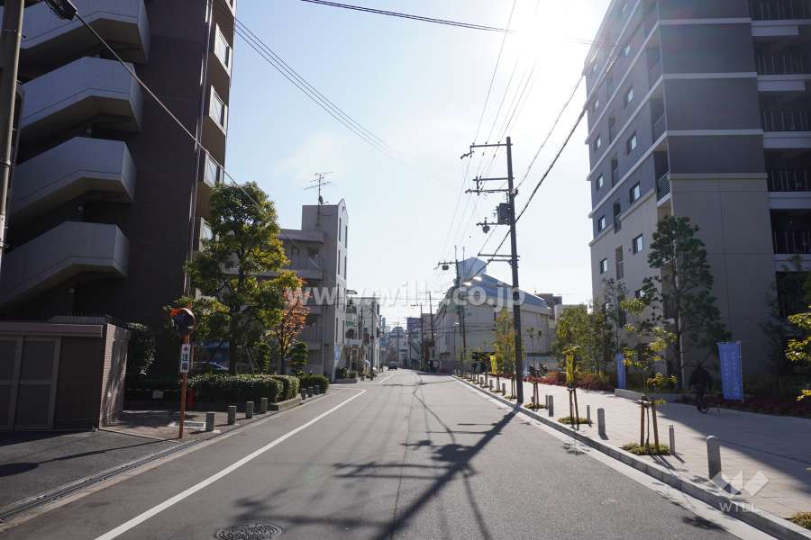 敷地東側の前面道路（北側から）
