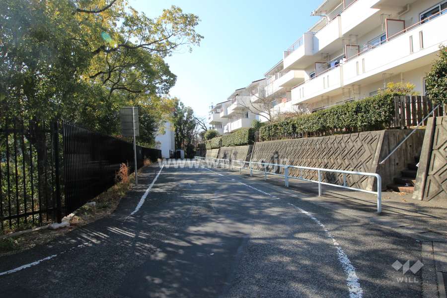 敷地南側の前面道路