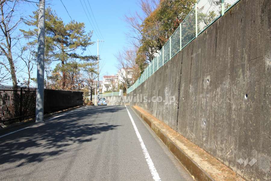 敷地西側の前面道路