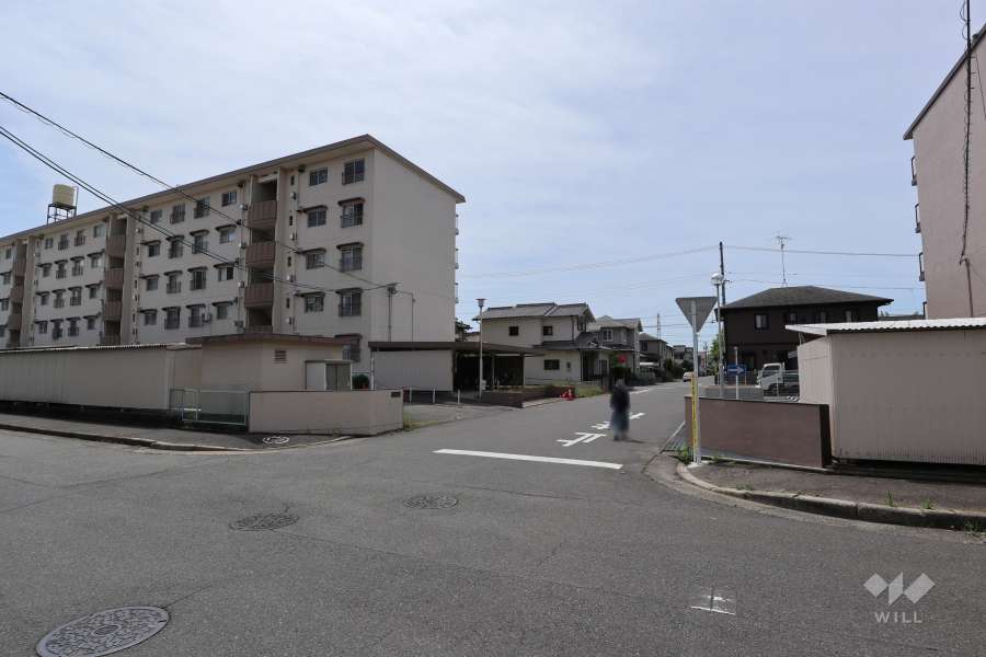 敷地西側の前面道路（北側から）
