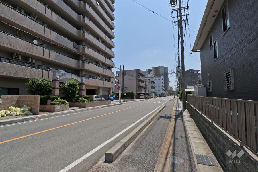 敷地南側の前面道路（西側から）