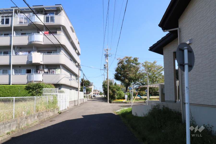 敷地東側の前面道路（南側から）