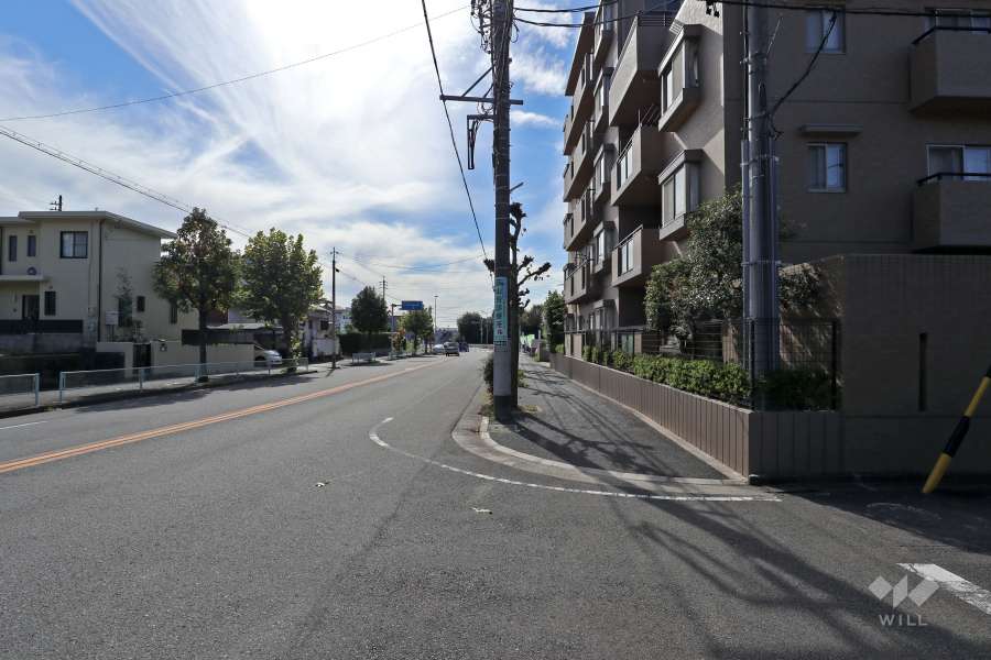 敷地東側の前面道路